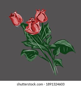 Vector drawing several roses. Plants, flowers, spring, joy, romance. Vector isolated image.