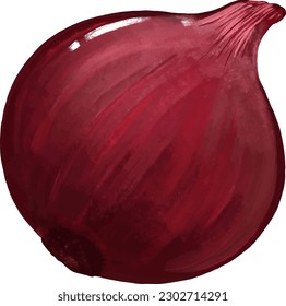 Dibujo de vectores, chalote, cebolla, verduras, hierba, หั ห อ de ว, ห อ~~~