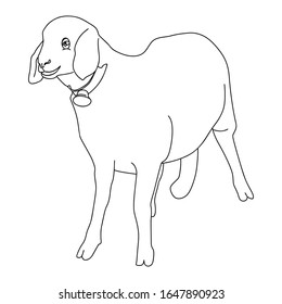 Vector drawing of a sheep, outline drawing isolated on white background. Coloring, printing for children.