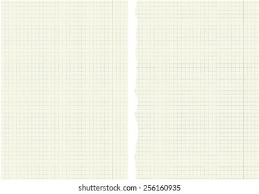 vector drawing of sheets from a school notebook in a cage