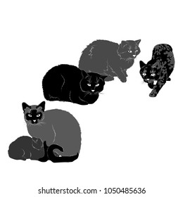 Vector drawing. Silhouette of a flock of cats