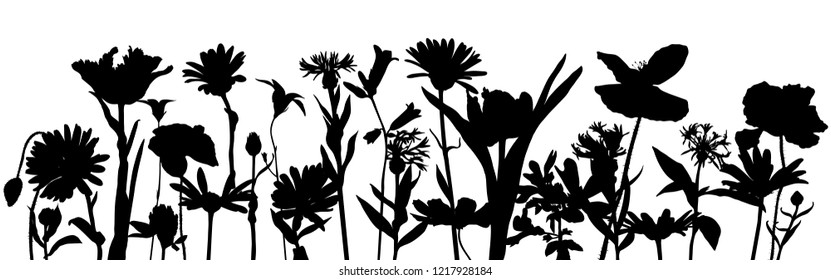 vector drawing silhouette of flowers, floral composition, hand drawn illustration