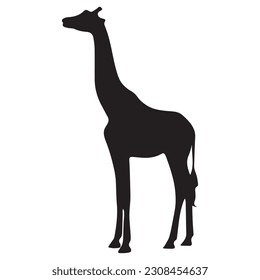 vector drawing silhouette of a giraffe
