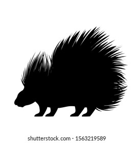 Vector Drawing Silhouette Ink Porcupine Stock Vector (Royalty Free ...