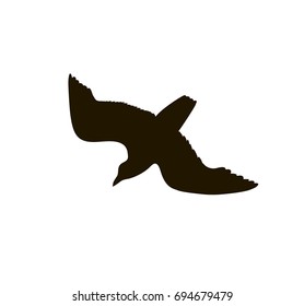 vector drawing silhouette of a large gull