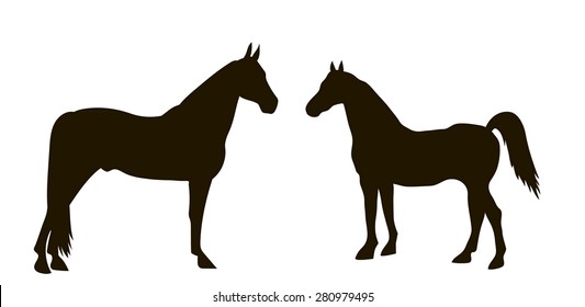 vector drawing silhouettes of horses standing