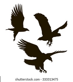 vector drawing silhouettes of three eagles