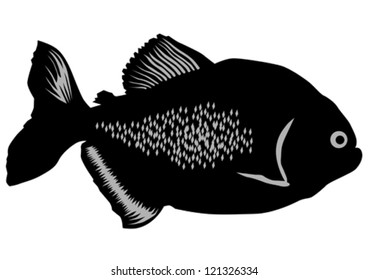 Vector drawing silhouettes of tropical fish