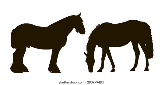 vector drawing silhouettes of two horses standing