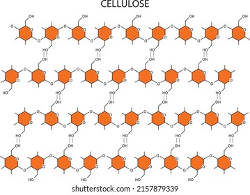 Vector drawing of a simplified chemical structure of cellulose.