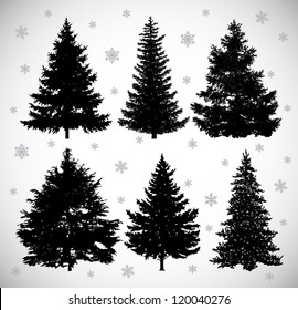 Vector drawing of six black silhouettes spruces against the background of snowflakes.