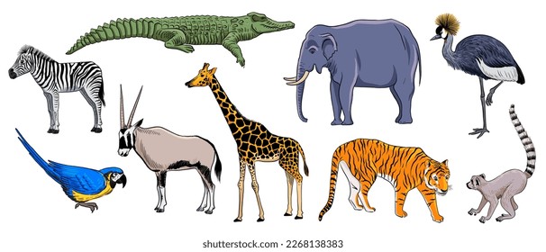 vector drawing sketch of african animals, zebra and crowned crane, elephant and lemure, giraffe and ara parrot, antelope and crocodile, hand drawn illuastration , isolated nature design element