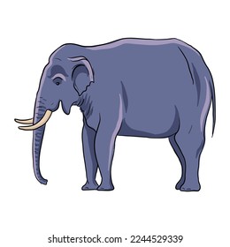 vector drawing sketch of animal, hand drawn elephant , isolated nature design element