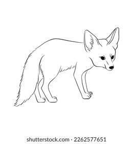 vector drawing sketch of animal, hand drawn fennec fox, isolated nature design element