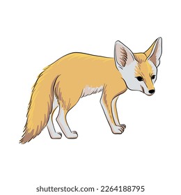 vector drawing sketch of animal, hand drawn fennec fox, isolated nature design element