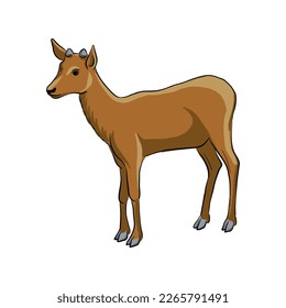 boceto de dibujo vectorial de animal, ciervo dibujado a mano , elemento de diseño natural aislado
