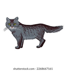 Vektorgrafik von Tieren, handgezeichnete Hauskatze, isoliertes Naturdesign-Element