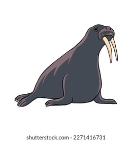 Vektorgrafik von Tieren, handgezeichnet Walross, einzelne Naturdesign-Komponente