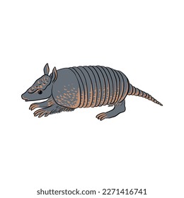 vector drawing sketch of animal, hand drawn armadillo, isolated nature design element