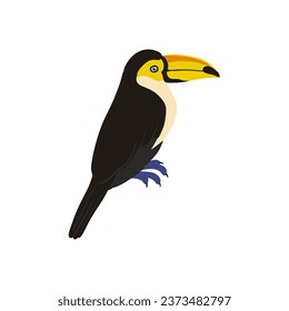 vector drawing sketch of bird, hand drawn toucan , isolated nature design element