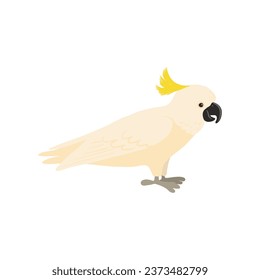 vector drawing sketch of bird, hand drawn cockatoo, isolated nature design element