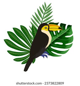 vector drawing sketch of bird, hand drawn toucan and green palm leaves , isolated natural design element