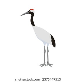 vector drawing sketch of bird, hand drawn red-crowned crane, isolated nature design element