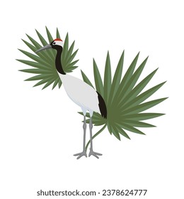 vector drawing sketch of bird, hand drawn red-crowned crane and green palm leaves, isolated nature design element