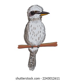 dibujo vectorial de ave, riéndose kookaburra ,Dacelo novaeguineae, pájaro dibujado a mano, elemento de diseño natural aislado