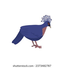 vector drawing sketch of bird, Victoria crowned pigeon ,Goura victoria, hand drawn songbird, isolated nature design element