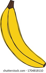 Vector drawing sketch of colored fruit in cartoon style. You can use it as a logo, image, illustration, or icon for printing, books, magazines, web design, clothing, stickers, or posters