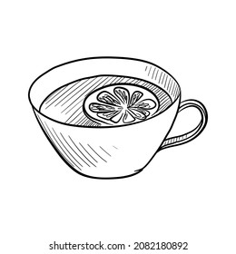 vector drawing sketch of cup with tea and lemon, hand drawn illustration at white background