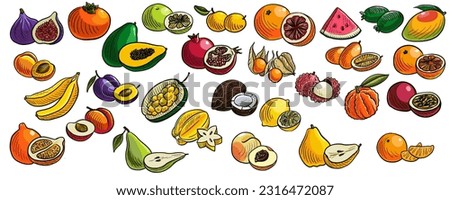 vector drawing sketch of fruits isolated atw hite background, hand drawn illustration Zdjęcia stock © 