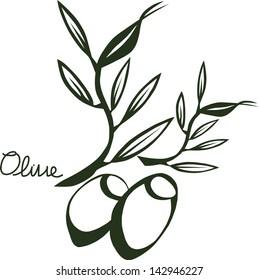 Vector drawing sketch of olive tree branch