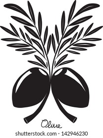Vector drawing sketch of olive tree branch