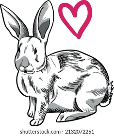 Vector drawing, sketch. Rabbit with a heart. Print for a cup, t-shirt, card, valentine's day