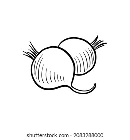 vector drawing sketch of radishes,vegetable isolated at white background,hand drawn illustration