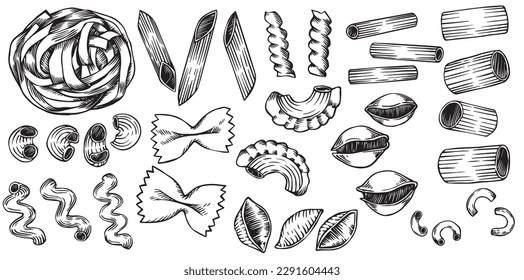 vector drawing in sketch style. vintage set of types of pasta. italian food, pasta