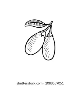 vector drawing sketch of wolfberry, goji berries isolated at white background,hand drawn illustration