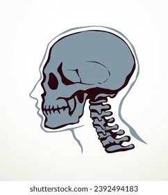 Vector drawing. Skull and neck bones