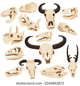 vector drawing skulls of animals isolated at white background, hand drawn illustration