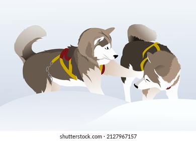 vector drawing sled dog breed Siberian Husky