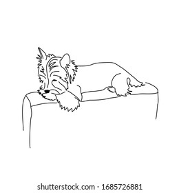 Vector drawing of a sleeping Yorkshire terrier. Lying dog pose