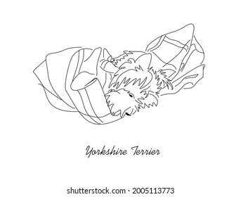 Vector drawing of a sleeping Yorkshire terrier. Linear image of a lying small dog on a blanket