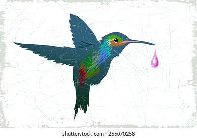 Vector drawing of a small bird of hummingbird.