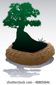 Vector drawing small Japanese tree in ceramic pot