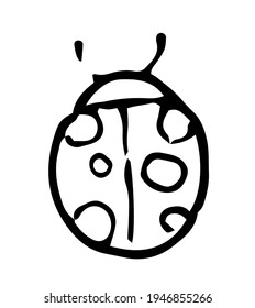 Vector drawing of a small round beetle with dots on its back with antennae top view of a black line on a white background. isolated element ladybug hand-drawn in doodle style, for children's product d