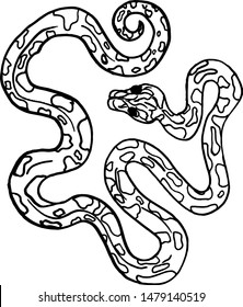 Vector drawing of a snake airliner. Vector drawing of a snake in black and white for t-shirts, wallpapers