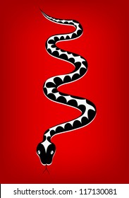 vector drawing a snake - a symbol of the new year