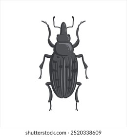 vector drawing snout beetle, true weevil isolated at white background, garden pest, hand drawn illustration